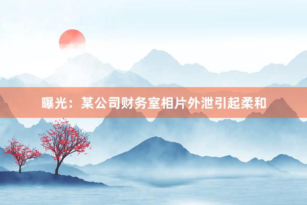 曝光：某公司财务室相片外泄引起柔和